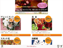 Tablet Screenshot of kanoche.com